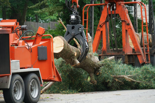 Lawn Drainage Solutions in Creedmoor, NC